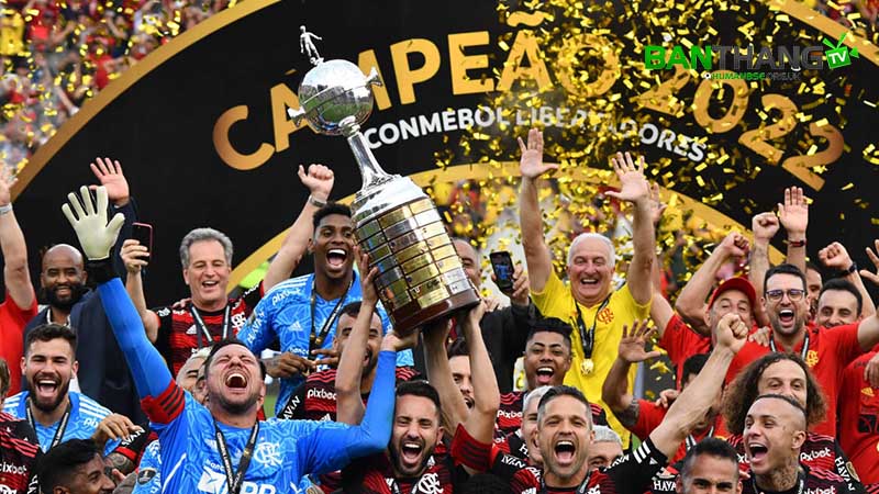 Chiếc Cup vô địch các câu lạc bộ Nam Mỹ - Copa Libertadores