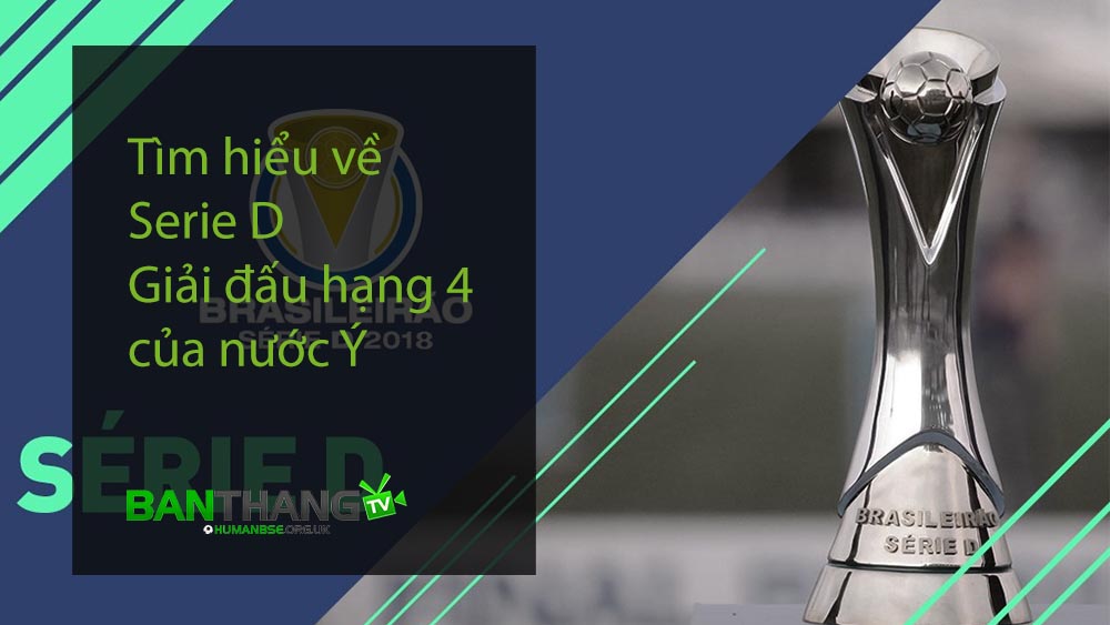 Tìm hiểu về Serie D - Giải đấu hạng 4 của nước Ý